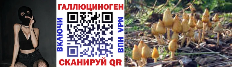 Псилоцибиновые грибы Psilocybine cubensis Томмот