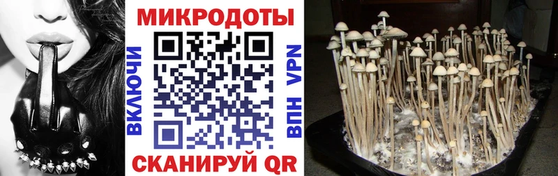 Псилоцибиновые грибы Magic Shrooms нарко площадка Telegram Томмот